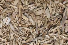 biomass boilers Windyridge